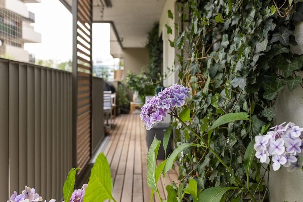 Dream Apartment - Central And Quiet With Ac And Free Parking Garage Вена Экстерьер фото